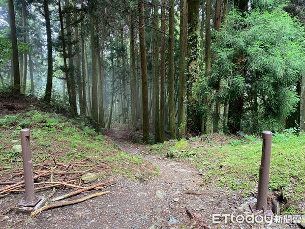 ▲合歡東峰步道將設置人流計數器 掌握環境負荷量提升服務。（圖／林業保育署南投分署提供）