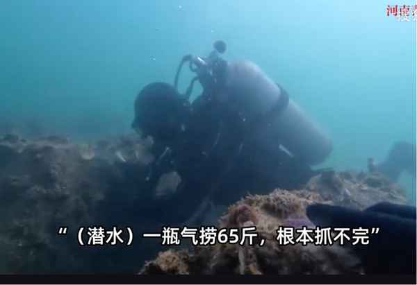 ▲▼  青島海螺大爆發，十年一遇 。（圖／翻攝 快科技）