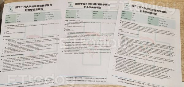 ▲▼             。（圖／記者游瓊華攝）