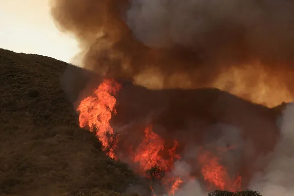 ▲▼2025年8月初，美國加州中南部的「洛斯帕德里斯國家森林」（Los Padres Forest）發生吉福德大火（Gifford Fire）。（圖／路透）