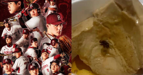 獨家／樂天伙食又翻車「蒼蠅活蛆雙拼」　球員餐點爆噁爛畫面流出