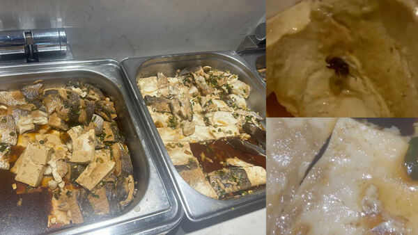 獨家／樂天伙食又翻車「蒼蠅活蛆雙拼」　球員餐點爆噁爛畫面流出