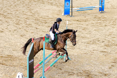 兩岸馬術代表隊奔騰榕城 200多名選手連3天比拚騎術