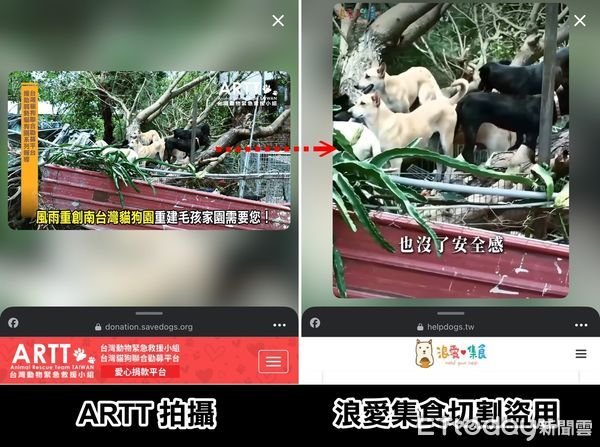 ▲台灣動物緊急救援小組勘災畫面遭「浪愛集食」未經同意盜用，製成網路廣告誤導民眾捐款。（台灣動物緊急救援小組提供，下同）