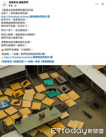 ▲台灣動物緊急救援小組勘災畫面遭「浪愛集食」未經同意盜用，製成網路廣告誤導民眾捐款。（台灣動物緊急救援小組提供，下同）