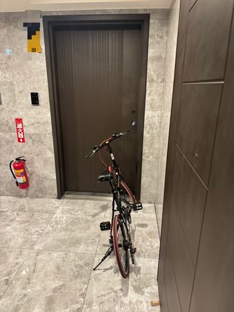 ▲▼租屋蟑螂             。（圖／記者陳筱惠攝）