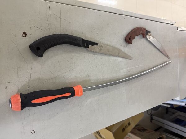 ▲▼             。（圖／記者許權毅攝）