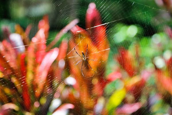 ▲▼泰國北碧府三站式身心靈療癒行程。（圖／部落客viviyu提供）