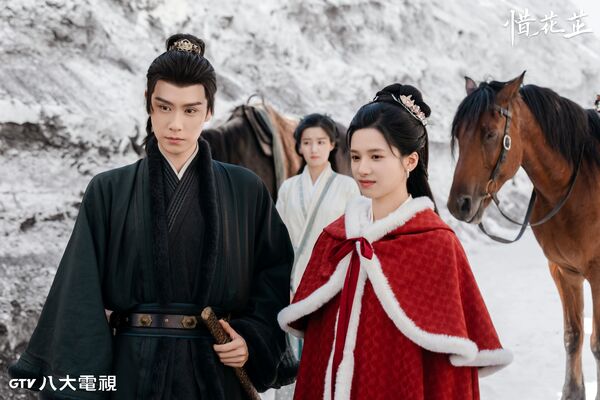 ▲《惜花芷》由張婧儀、胡一天主演。（圖／八大電視提供）