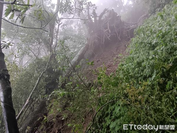 ▲北大武山坍方情形。（圖／林業及自然保育署屏東分署提供）