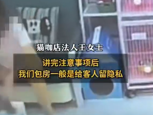 ▲監視器畫面顯示，女子暴打奶貓。（圖／翻攝自微博）