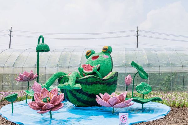 ▲桃園蓮花季展至8月17日。（圖／桃園市農業局提供）