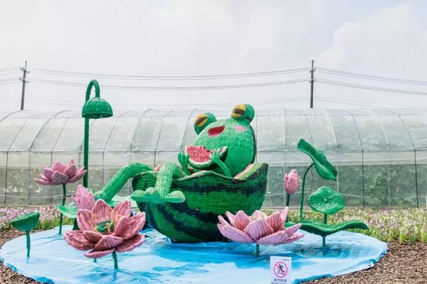 ▲桃園蓮花季展至8月17日。（圖／桃園市農業局提供）