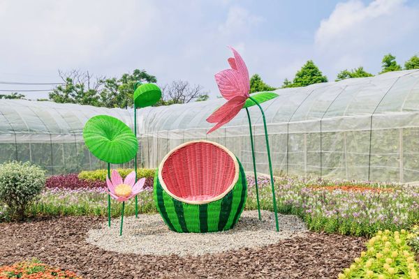 ▲桃園蓮花季展至8月17日。（圖／桃園市農業局提供）