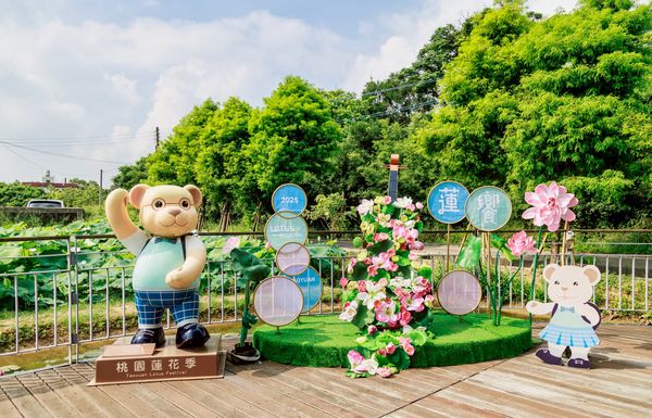 ▲桃園蓮花季展至8月17日。（圖／桃園市農業局提供）