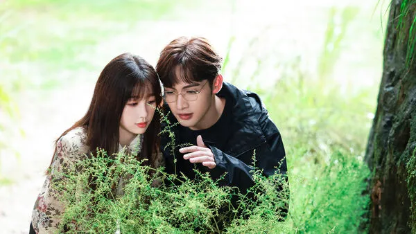 ▲《兩個人的小森林》由張彬彬、虞書欣主演。（圖／龍華電視提供）