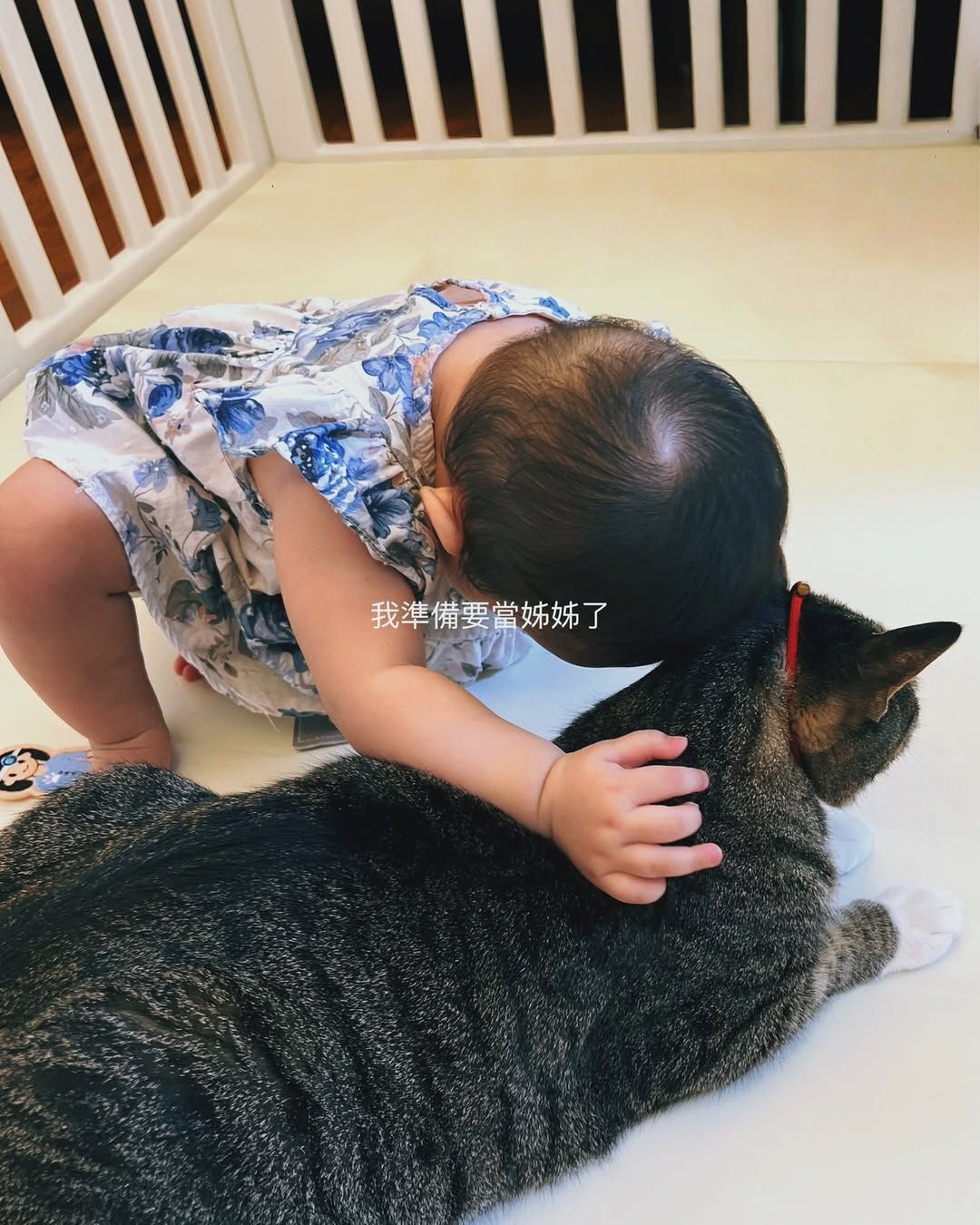 ▲▼高爾宣當爸未滿1年再報喜！興奮喊：孝子來一枚。（圖／翻攝自Instagram／redhung10）