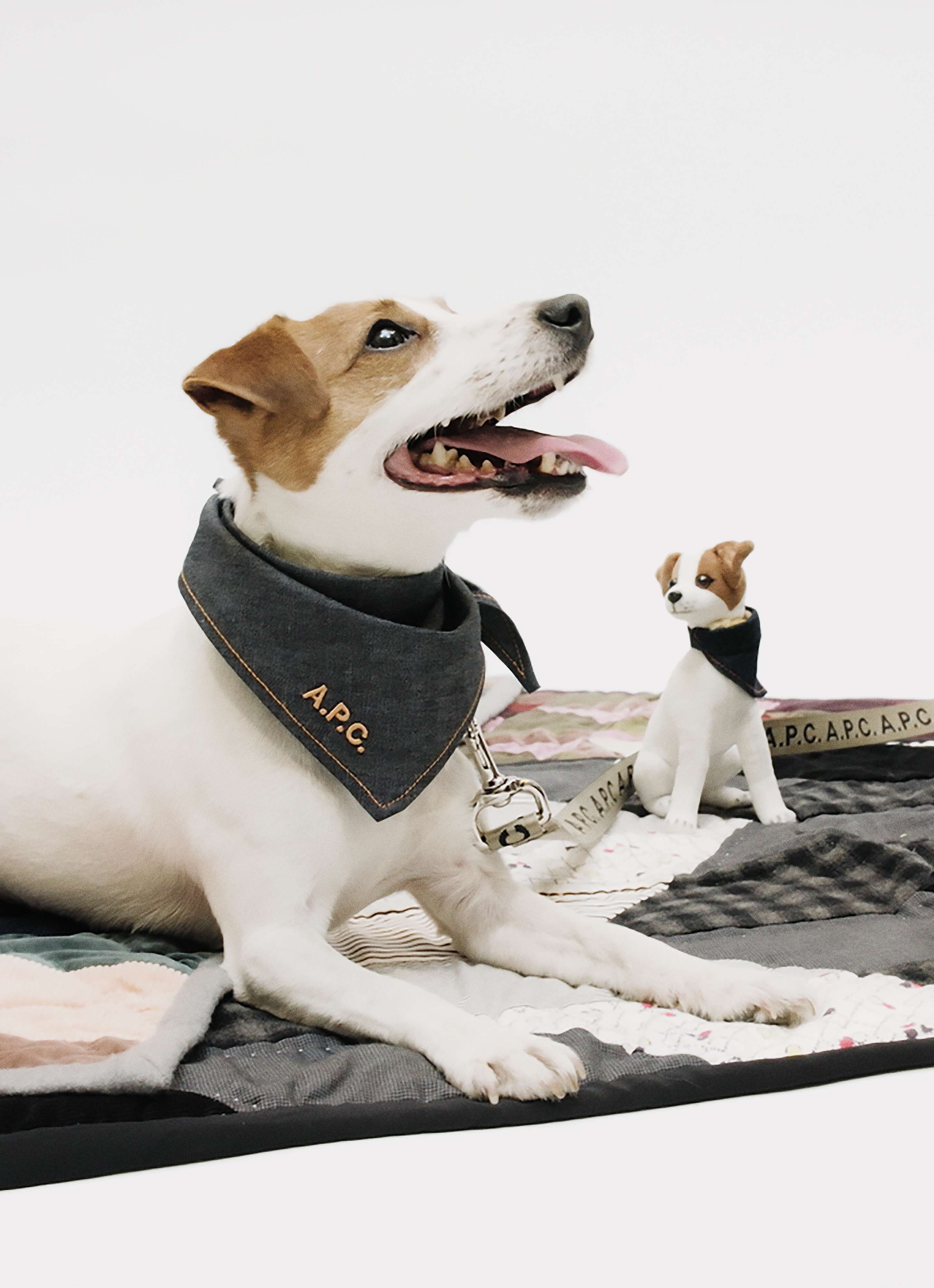 ▲▼時尚品牌 A.P.C.   。（圖／品牌提供）