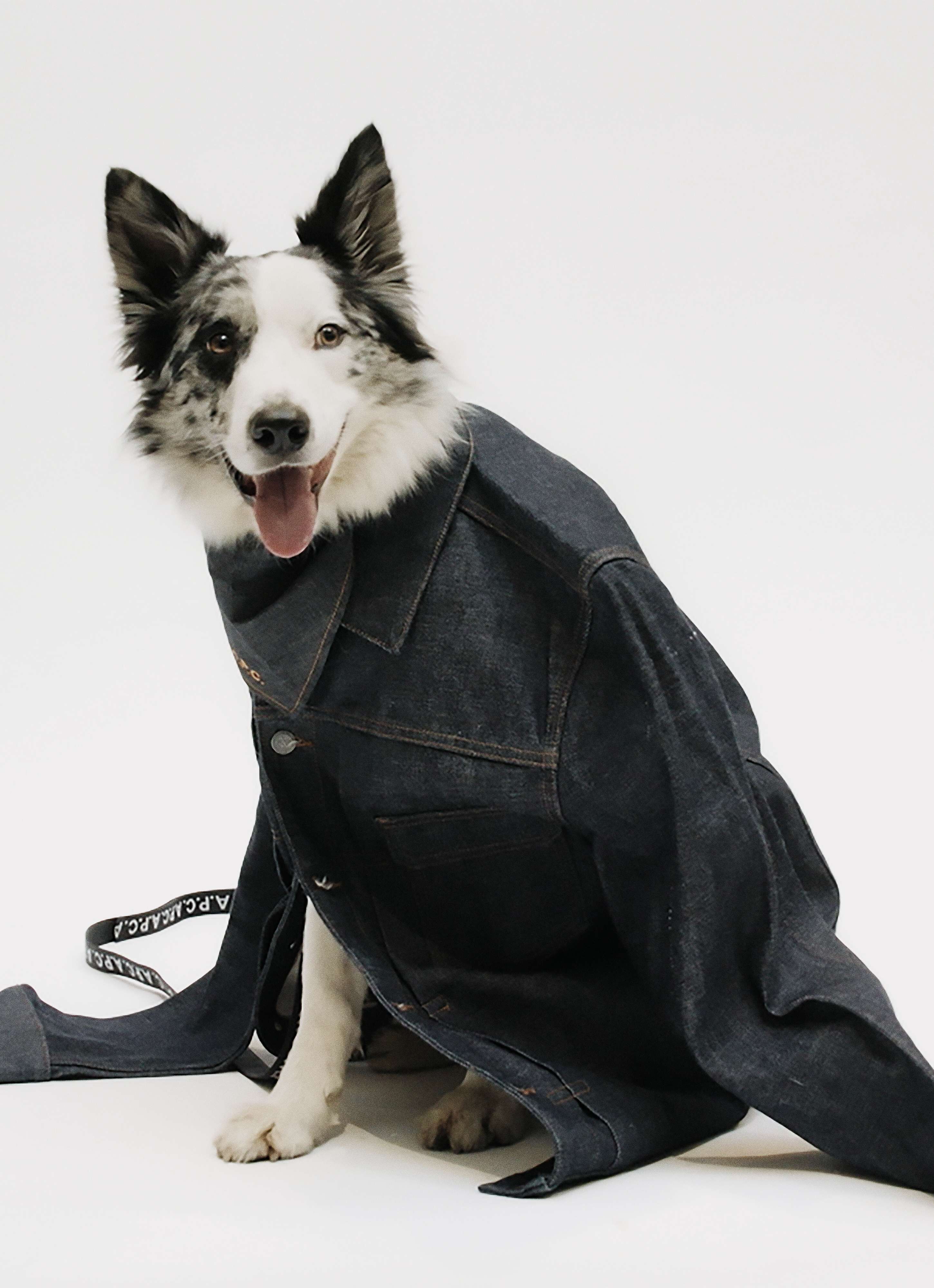 ▲▼時尚品牌 A.P.C.   。（圖／品牌提供）