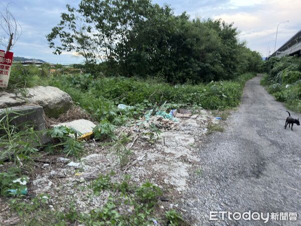 ▲苗栗縣銅鑼鄉防汛道路旁遭亂丟石棉瓦碎片，警方根據一張單據，循線查獲湯姓男子依法送辦。（圖／記者楊永盛翻攝）