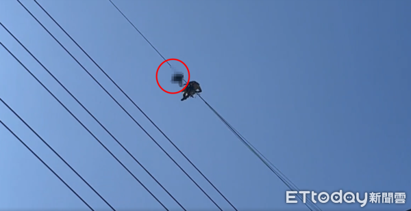 ▲▼             移工遺體卡在60公尺高的高壓電線上，特搜人員稍早已接觸到遺體。（圖／記者沈繼昌翻攝，下同）