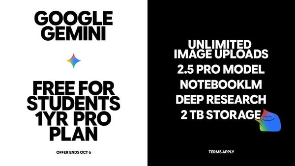 ▲▼             。（圖／Google）
