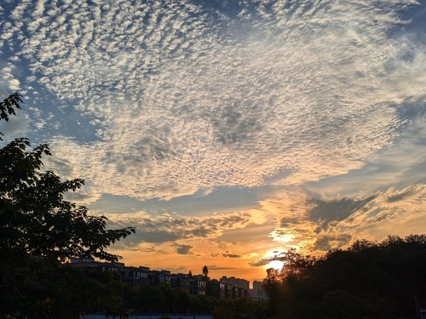 ▲江蘇南京立秋晨間的第一抹曙光。（圖／CFP）