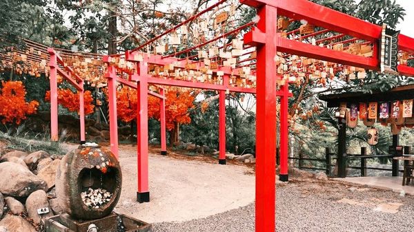 ▲▼             。（圖／記者張雅雲翻攝）