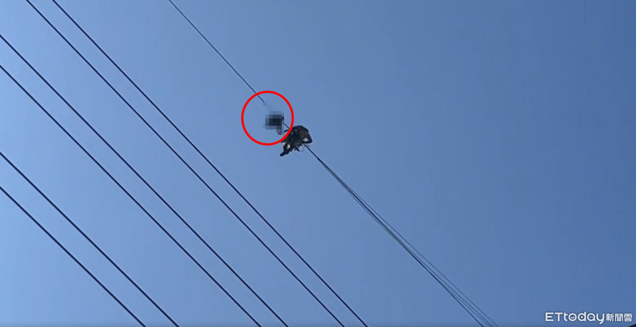移工詭掛「20F高電線亡」！特搜隊搬屍畫面曝　搏命攀塔掛高空