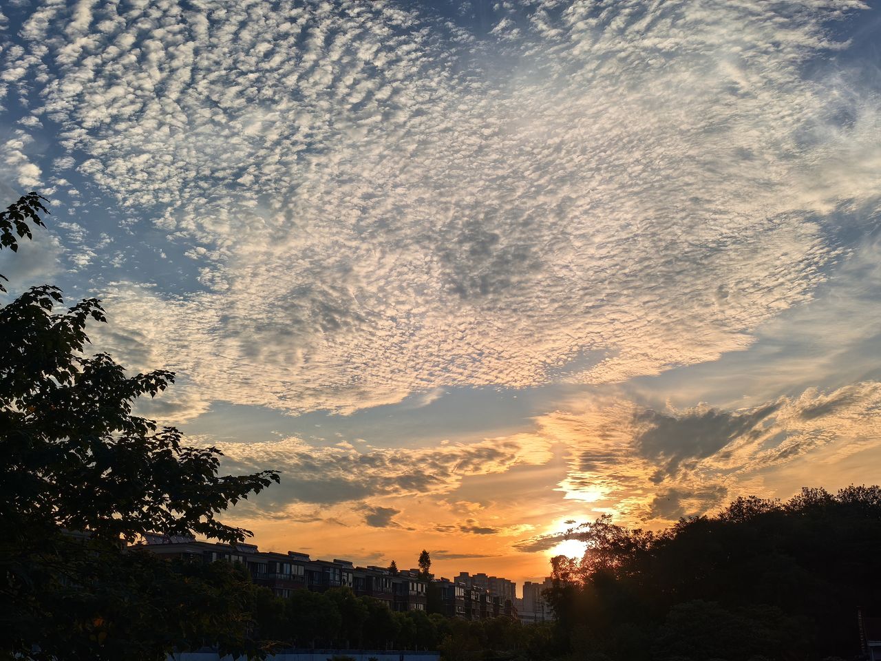 立秋進補4不吃　習俗：秋後蚊子「猛於虎」不能掉以輕心