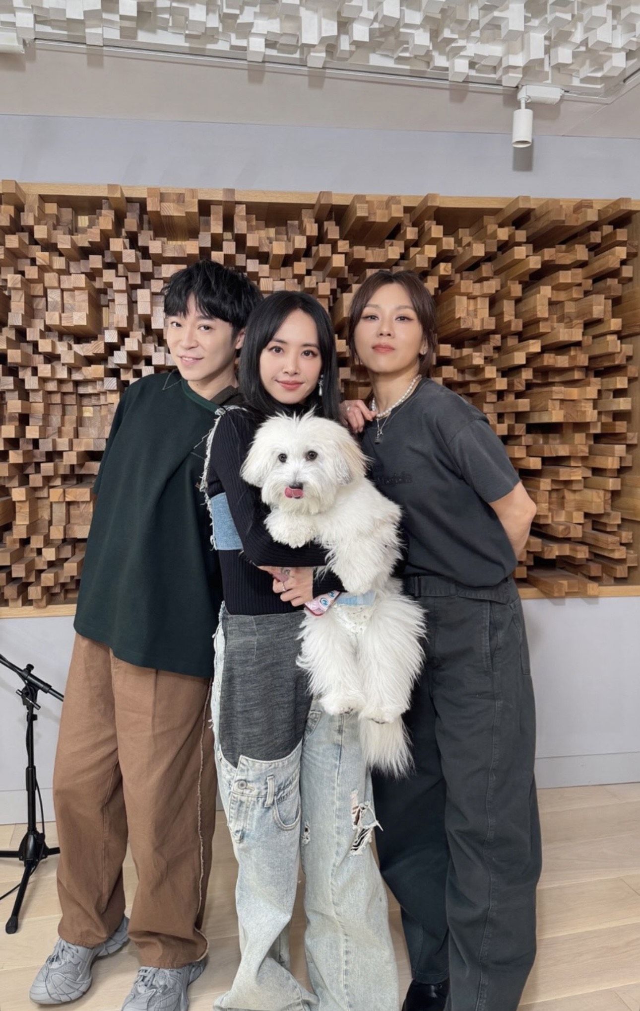 ▲▼ 蔡依林            。（圖／翻攝IG）