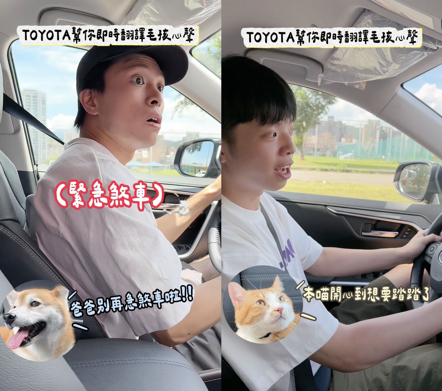 ▲▼ TOYOTA,創意,毛孩,寵物溝通師,AI,寵物友善,抽獎,五星住宿,住宿券。（圖／即新聞）