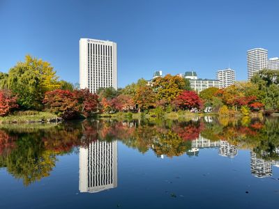 北海道賞楓免3萬再享3大蟹吃到飽