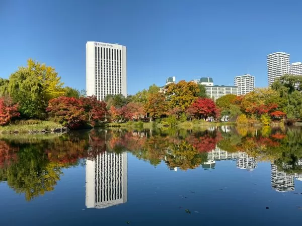 ▲▼可樂旅遊推出App優惠 。（圖／業者提供）