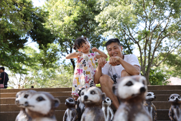 ▲六福村推出「爸爸我愛您」父親節專屬優惠，8月8日至8月10日限時三天免費,《光之祭典》高空煙火秀。（圖／業者提供）