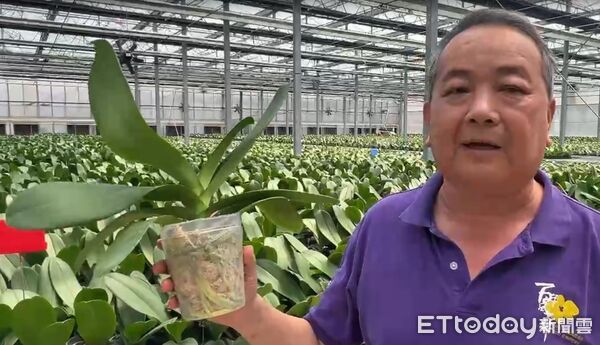 ▲台南蘭花農李蒼裕指出，美國關稅調高一定有影響，美國是台灣最大的出口市場，蘭花本來的利潤都只有5%至10%。扣一個20%關稅，以現在價錢扣關稅利潤就被吃光了，沒有利潤可言。（圖／記者林東良翻攝，下同）