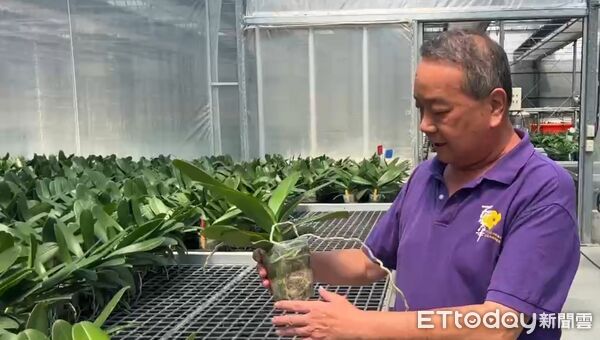 ▲台南蘭花農李蒼裕指出，美國關稅調高一定有影響，美國是台灣最大的出口市場，蘭花本來的利潤都只有5%至10%。扣一個20%關稅，以現在價錢扣關稅利潤就被吃光了，沒有利潤可言。（圖／記者林東良翻攝，下同）
