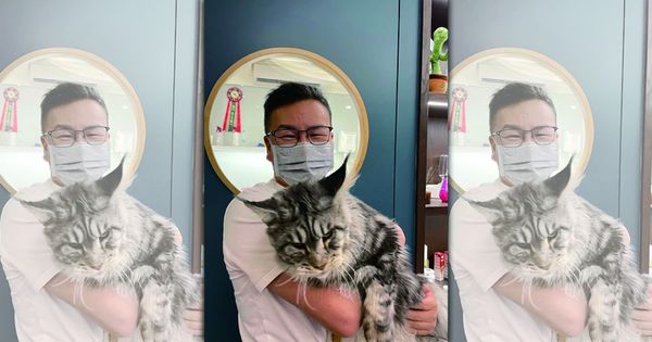 沈玉琳罹患血癌新聞曝光後，院方接獲民眾來電表達想捐贈骨髓意願。（翻攝自沈玉琳IG）