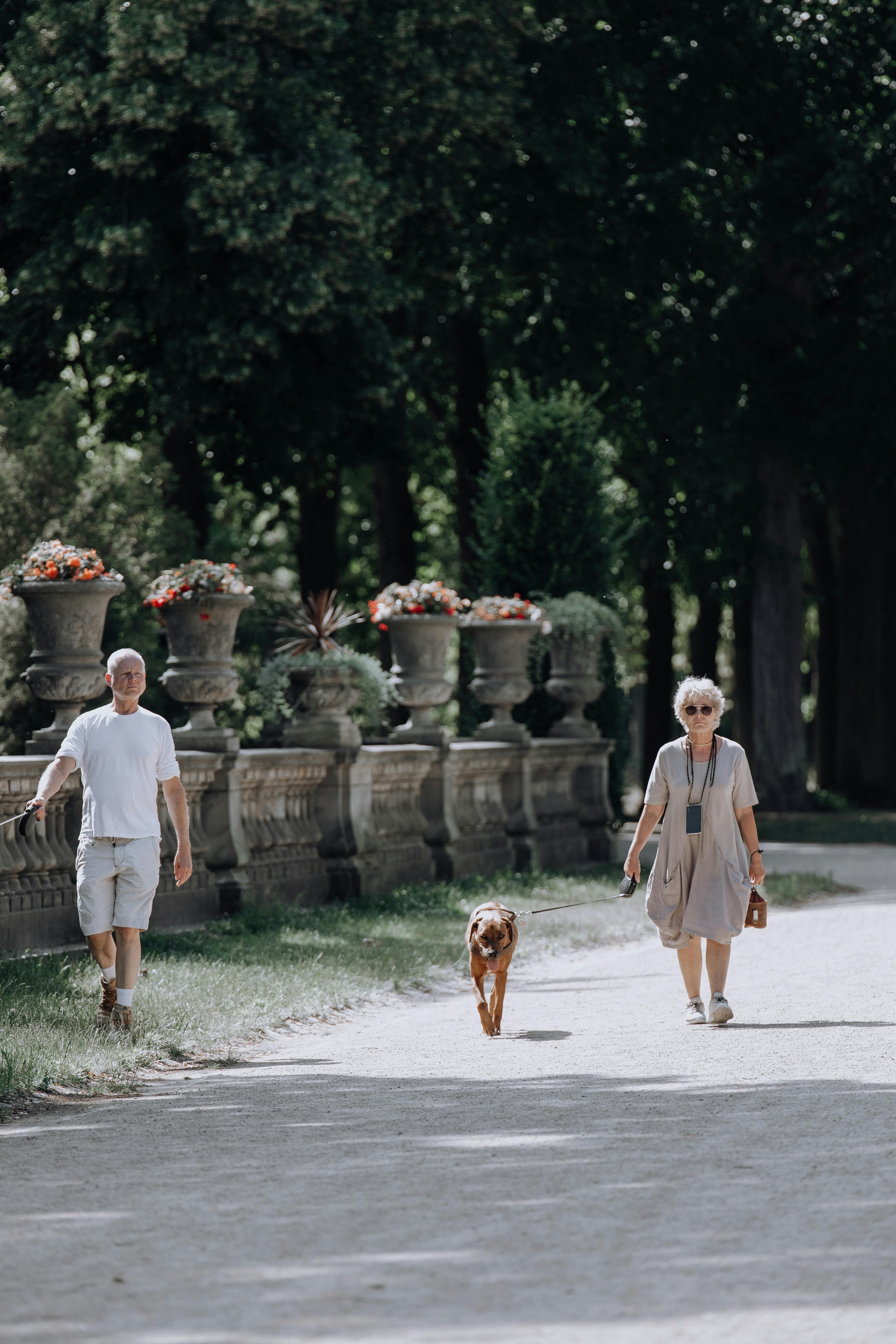 ▲▼ 健康,減重,女性,運動,研究,慢走,快走,減脂。（圖／Pexels）