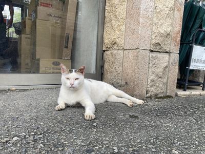 「罐頭給保全，然後餵他」　外送員疑惑→融化：最可愛訂單