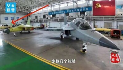 縮短艦載機飛行員培訓　央視「奉旨官宣」雙垂尾教練-10