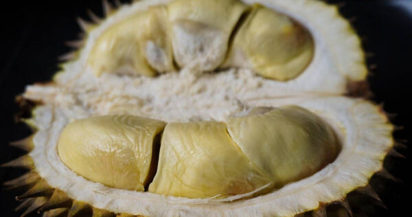 榴槤吃太多釀禍？馬國前歌手中風癱瘓在床　醫師提醒熱量恐飆千卡