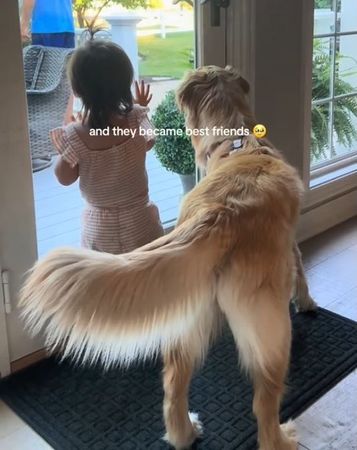 ▲。（圖／翻攝自TikTok／@novathegoldenn）