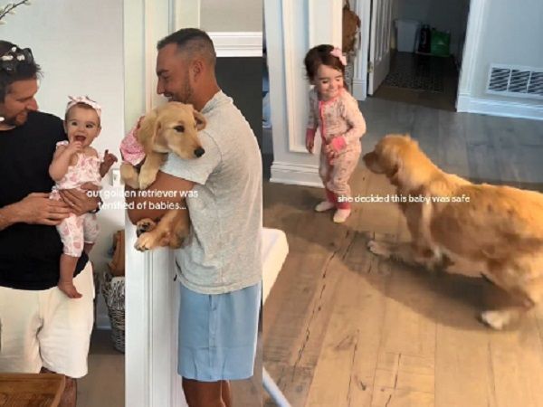 ▲。（圖／翻攝自TikTok／@novathegoldenn）