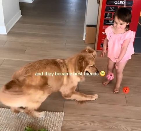 ▲。（圖／翻攝自TikTok／@novathegoldenn）