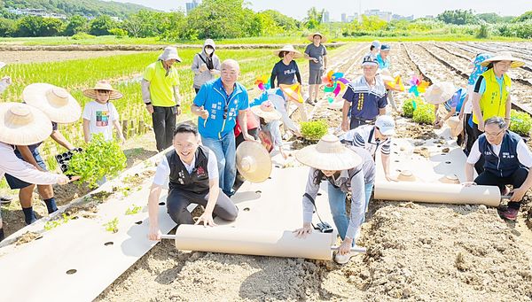 ▲桃園市副市長蘇俊賓今天出席食農教育推廣活動，在楊梅仙草園區體驗紙模栽種仙草技術。（圖／市府新聞處提供）