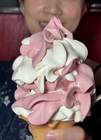 ▲▼cafe mother 鳥取。（圖／部落客小虎食夢網授權提供）