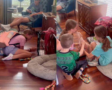 皮膚病小狗差點被安樂死 女孩放學回家「見到牠」激動落淚