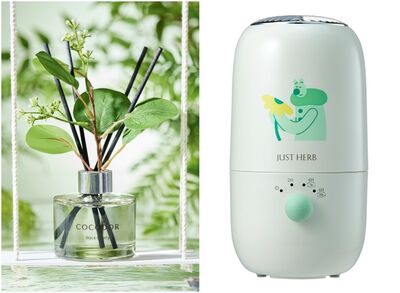 COCODOR森林擴香瓶綠葉美翻　香草集「無限水氧機」攜帶好方便