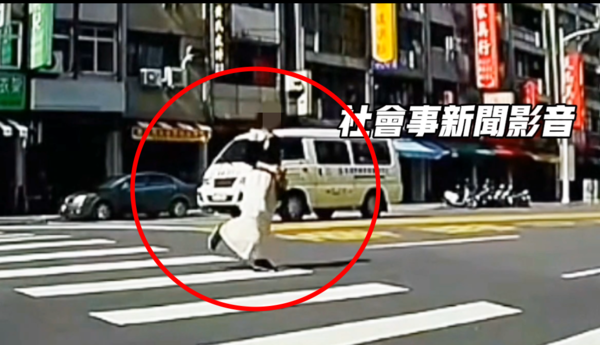▲▼ 高雄驚見「斑馬線麻豆」！騎士禮讓等她擺拍看傻：這是伸展台？。（圖／翻攝社會事新聞影音）